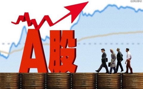 花生期货品种一览